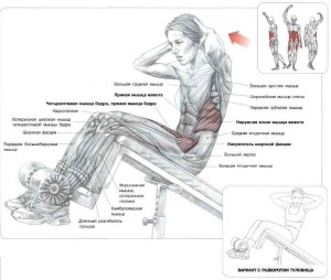 Подъем туловища на римском стуле и подъем ног